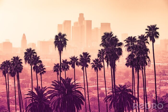 Canvas Palmbomen tegen de skyline van Los Angeles bij zonsondergang