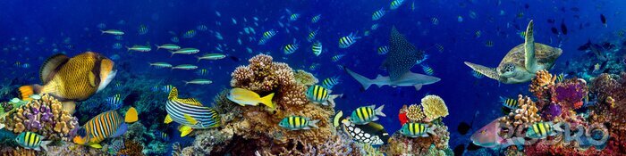 Canvas Panorama van de oceaanbodem