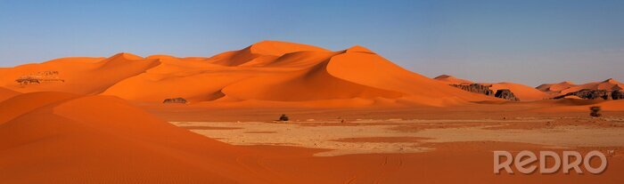 Canvas Panorama van duinen, Sahara woestijn