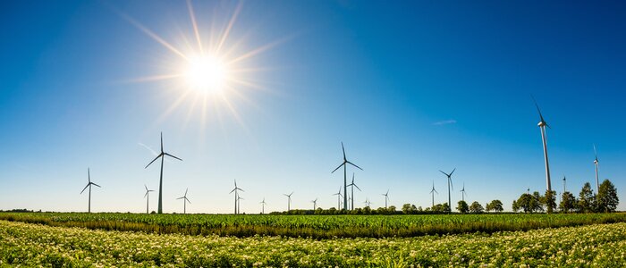 Canvas Panorama van een zomer landschap met veel windturbines, groene velden en felle zon