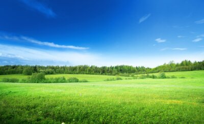 Panorama van gras, bomen en lucht