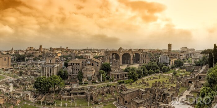 Canvas Panorama van het Forum Romanum