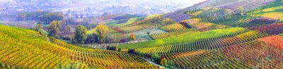 Panorama van velden in Toscane