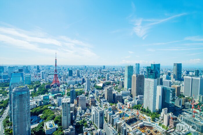 Canvas Panorama van zonnig Tokio