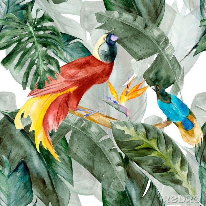 Canvas Paradijsvogels en exotische bladeren