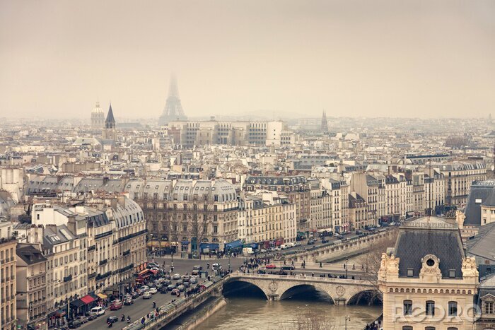 Canvas Parijs uitzicht vanaf de kathedraal Notre-Dame