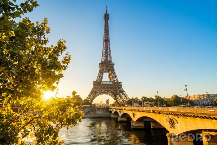 Canvas Parijs vanaf de Loire in de zon