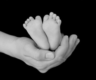 Pasgeboren Voeten Cradled in Hand Parent's