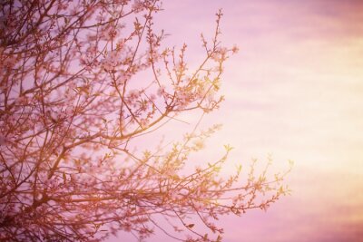 Pastelfoto met een boom
