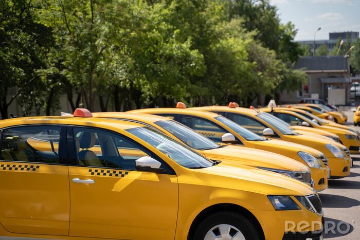 Canvas Photo of several yellow taxi on street in summer