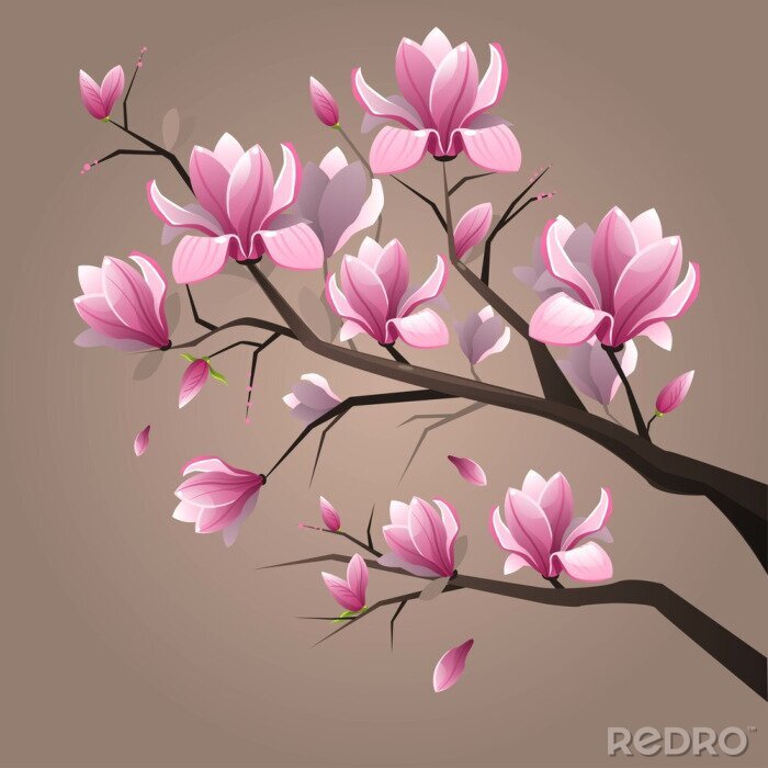 Canvas Pink magnolia flowers