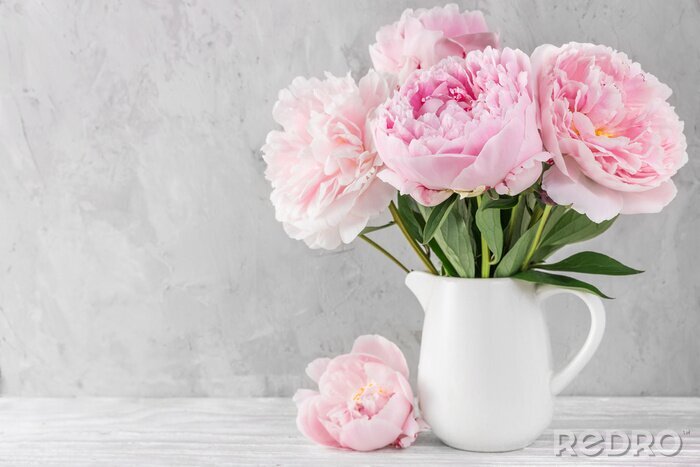 Canvas pink peony flowers bouquet on white background with copy space. still life. womens day or wedding concept
