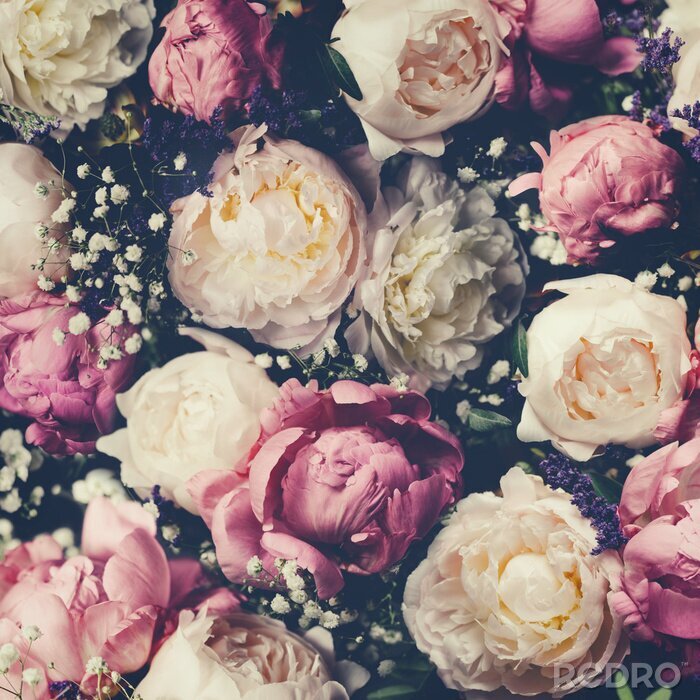 Canvas Pioenrozen op een vintage foto