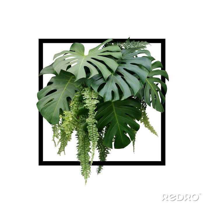 Canvas Planten in zwart kader