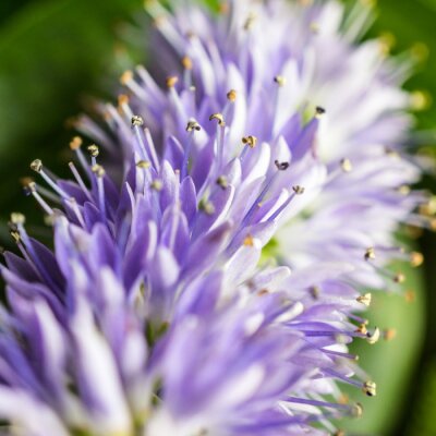 Canvas portret d'enfant