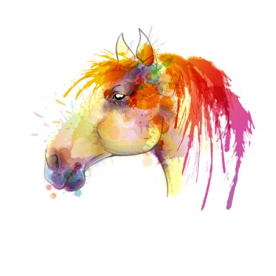 Portret van een paard in kleurenlinten