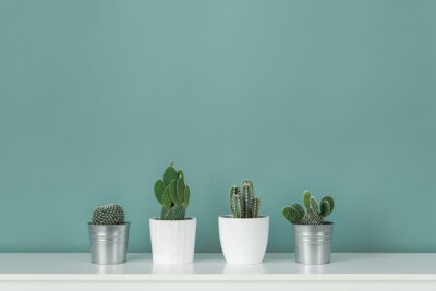 Canvas Potplanten op een groene muur