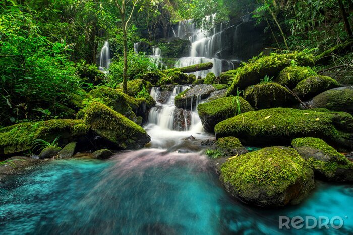 Canvas Prachtige waterval in de jungle