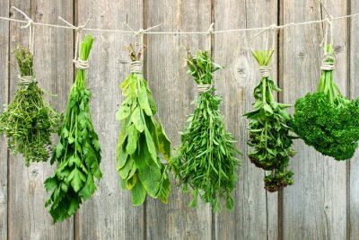 Realistische kruiden op de achtergrond van planken