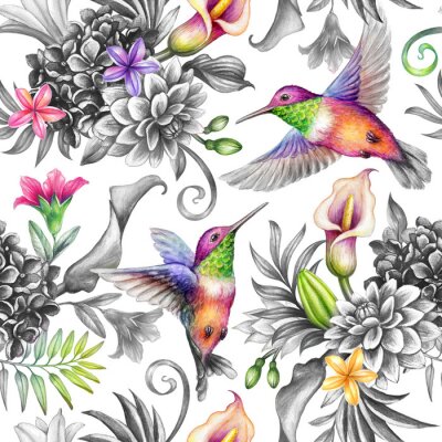 Sticker Regenboogvogels tussen planten
