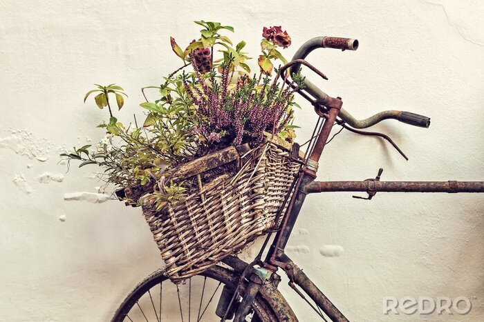 Canvas Retro fiets met bloemen in een mand