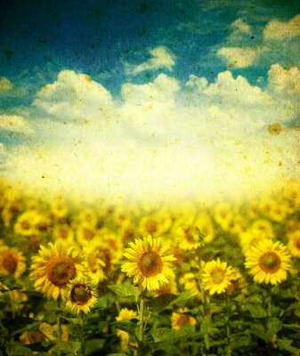 Canvas Retro patroon met zonnebloemen