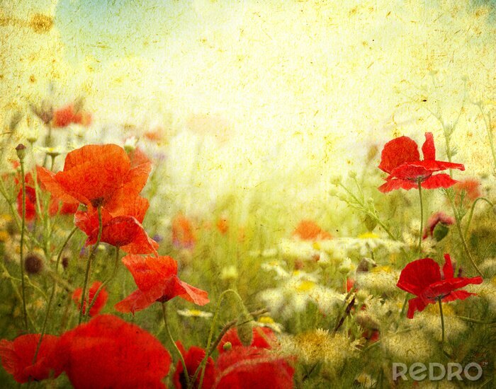 Canvas Retro rode bloemen