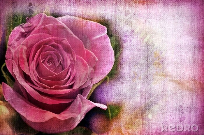 Canvas Retro roze bloem