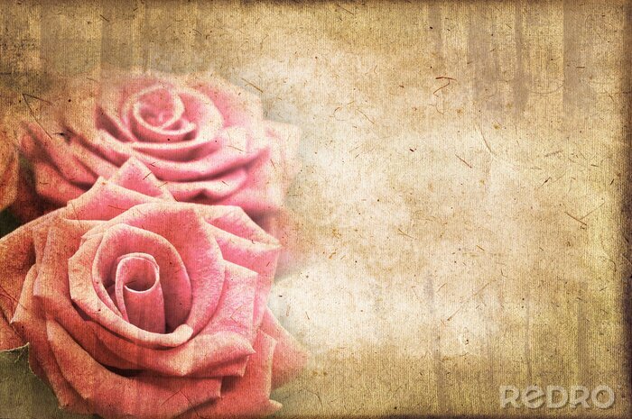 Canvas Retro twee rozen