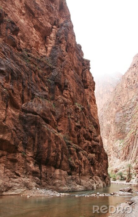 Canvas Rivier in de vallei van de Canyon