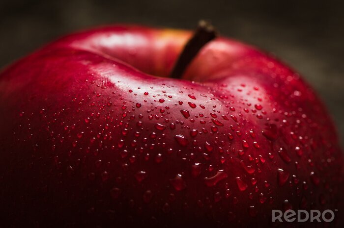 Canvas Rode appel