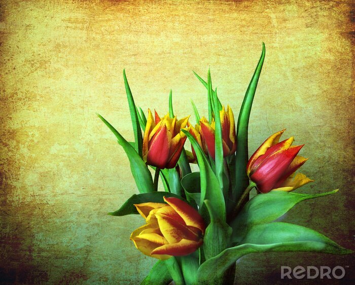 Canvas Rode en gele tulpen op een grunge achtergrond