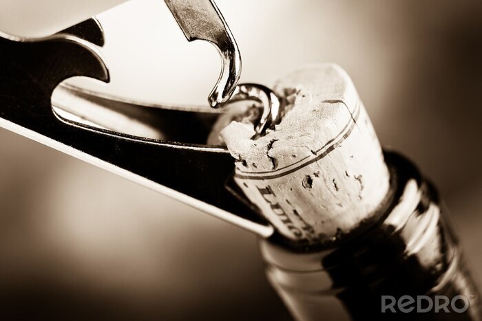 Canvas Rode wijn in sepia