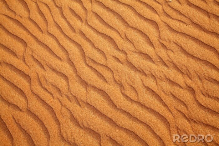 Canvas Rode zandwoestijn