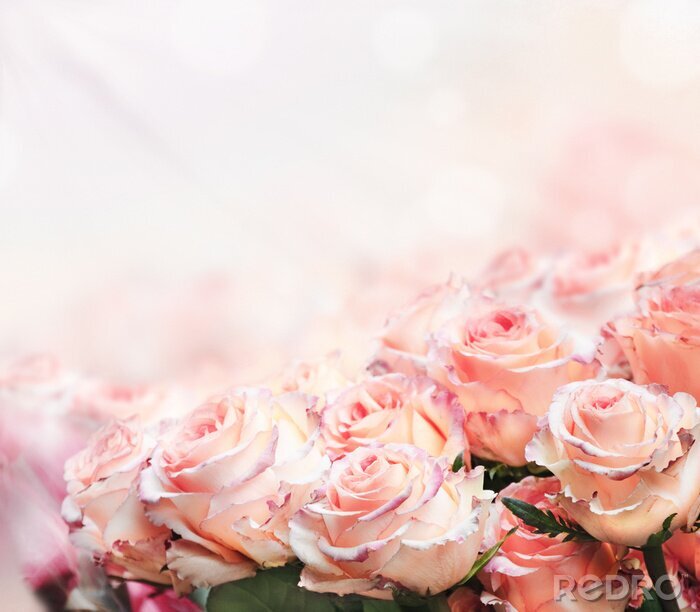 Canvas Romantisch boeket rozen
