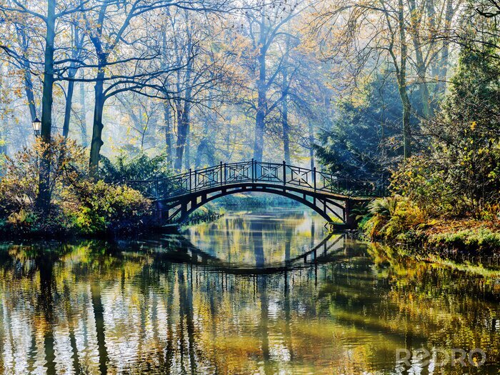 Canvas Romantische brug in een herfstpark