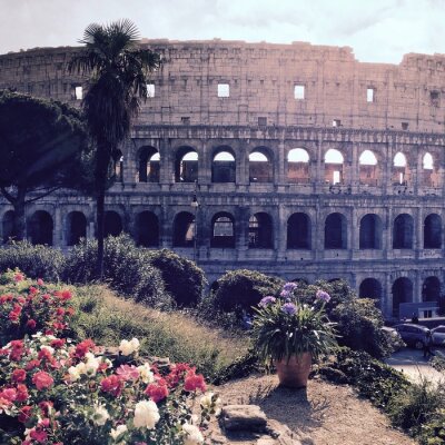 Canvas Rome Colosseum en natuur