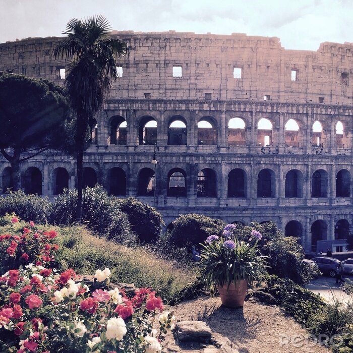 Canvas Rome Colosseum en natuur