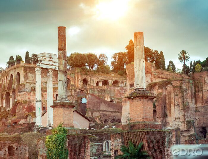 Canvas Romeinse ruïnes in Rome
