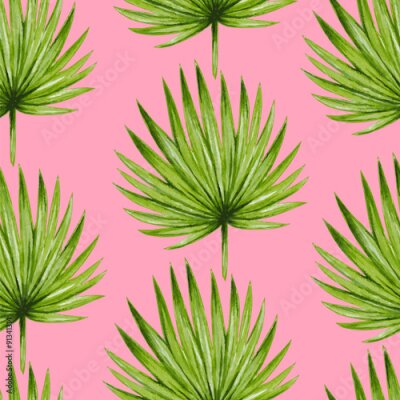 Rondbladige palmboom op een roze achtergrond