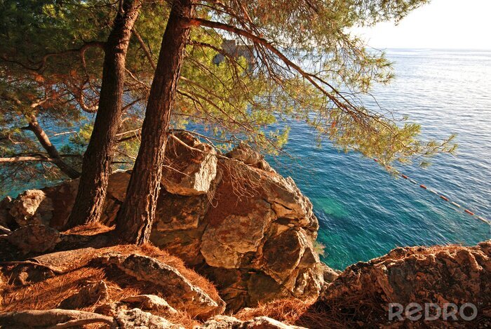 Canvas Rotsen met bomen boven het water
