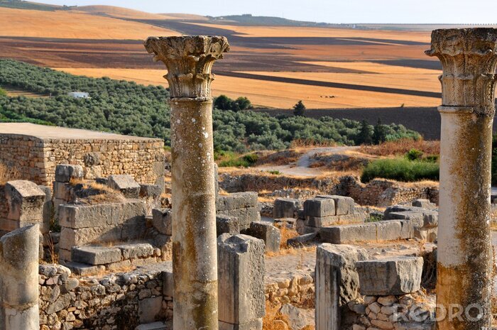 Canvas Rovine ROMANE een Volubilis - Marokko