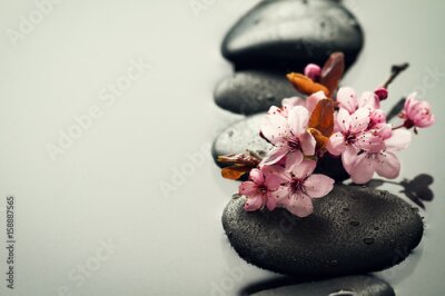 Canvas Roze bloemen op zwarte stenen