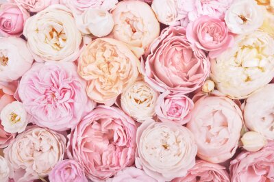 Roze bloemen romantische achtergrond