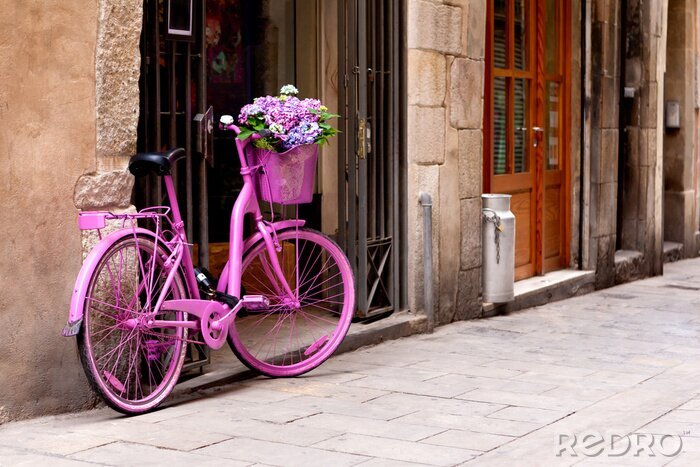 Canvas Roze damesfiets