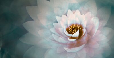 Canvas Roze lotusbloem