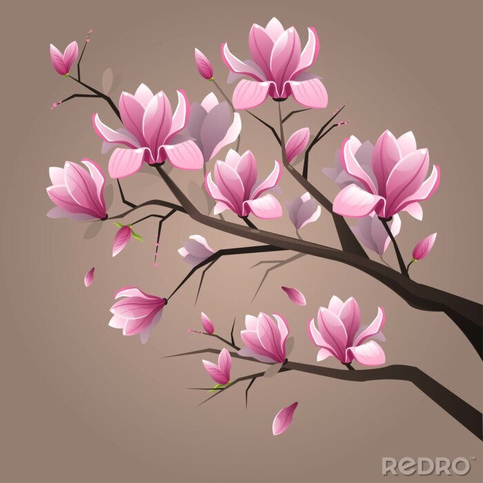 Canvas Roze magnoliabloemen