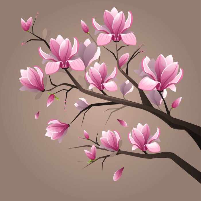 Canvas Roze magnoliabloemen