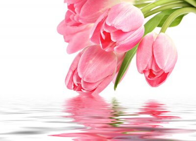 Roze tulpen weerspiegeld in het water