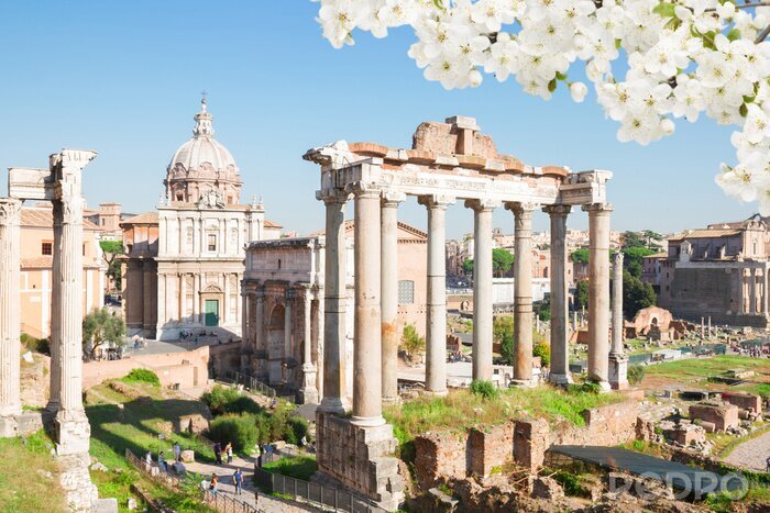 Canvas Ruïnes in Rome